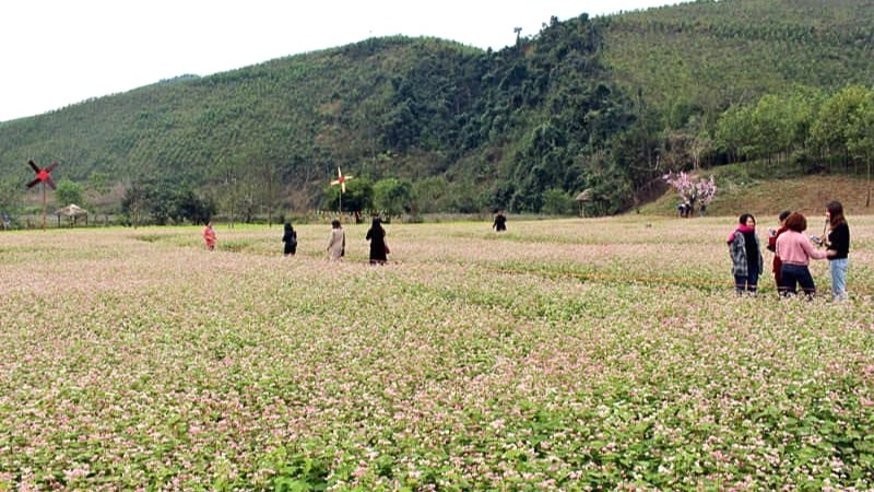 Du lịch Chợ Mới