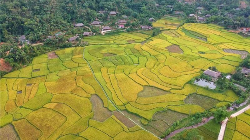 Du Lịch Bảo Yên