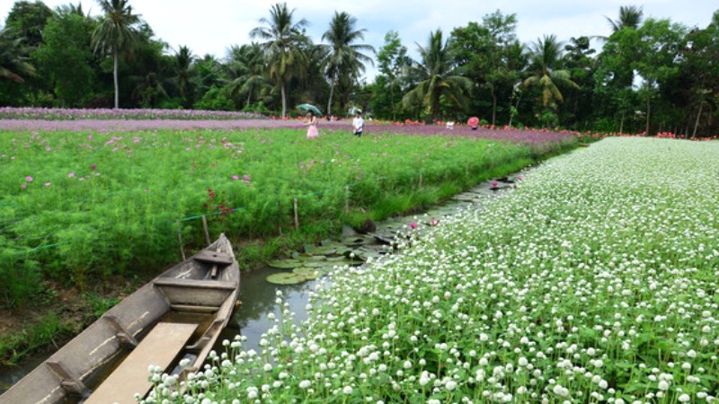 Nhiều hoa, nhiều ảnh đẹp!