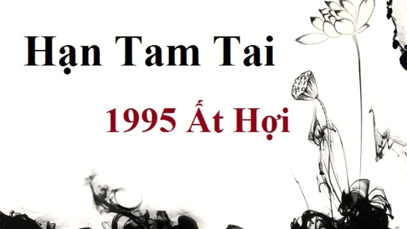 Xem tuổi Ất Hợi 1995