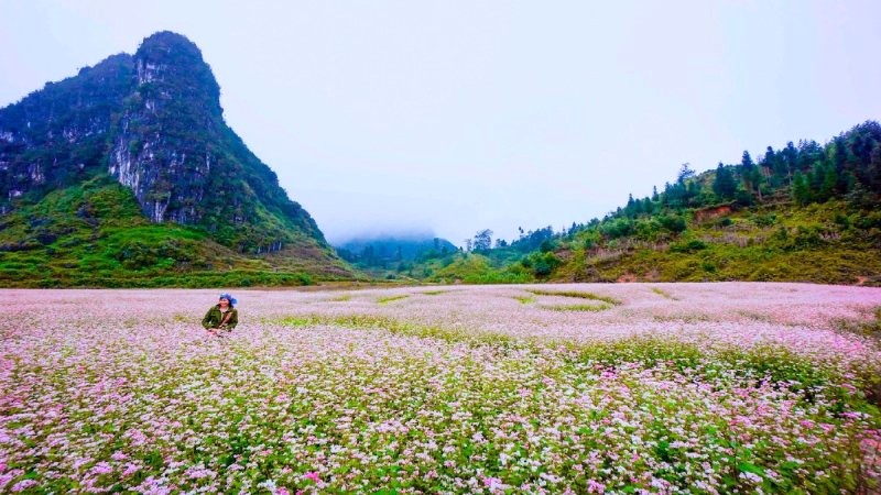 Du Lịch Si Ma Cai