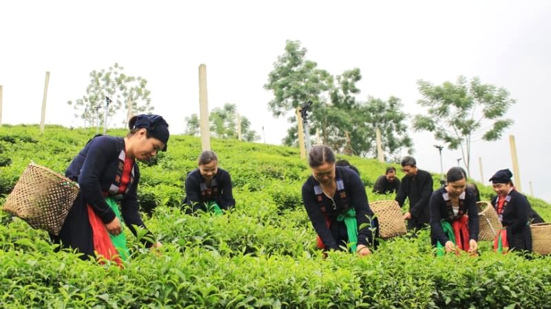 Du lịch Phú Lương