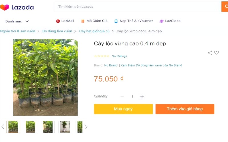 Cây lộc vừng bán trên Lazada.