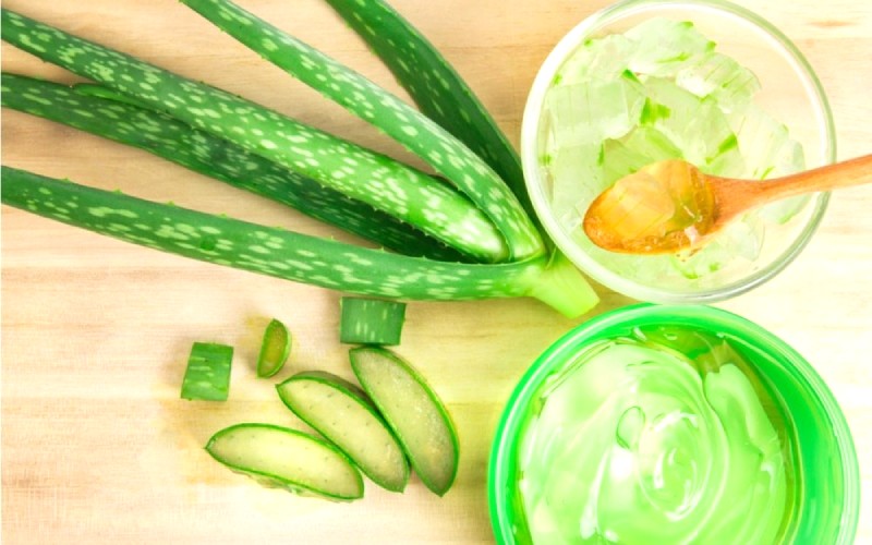 Gel nha đam kích thích collagen.