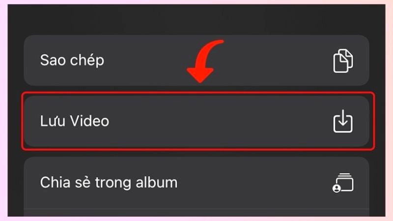 Lưu video