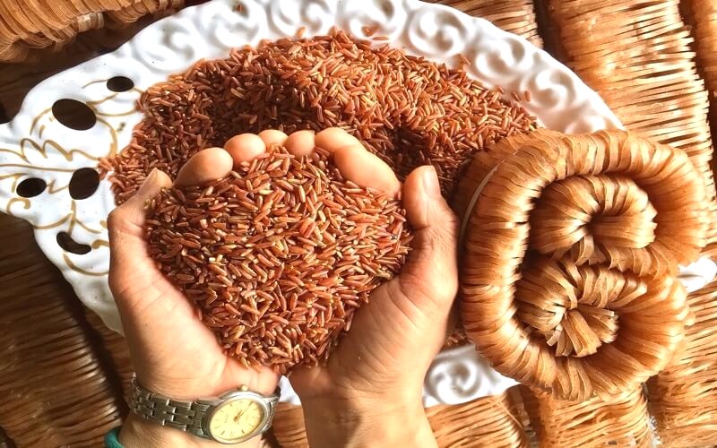 100g mì gạo lứt có bao nhiêu calo?