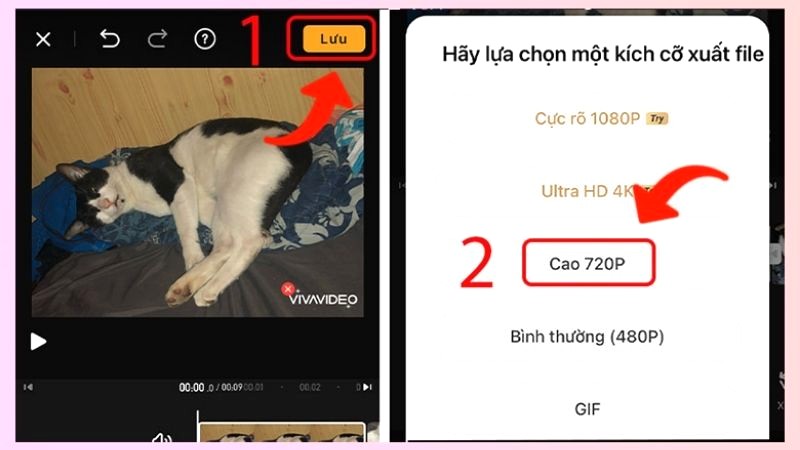 Lưu video